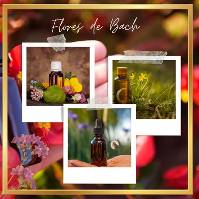 Consulta de Flores de Bach(online)