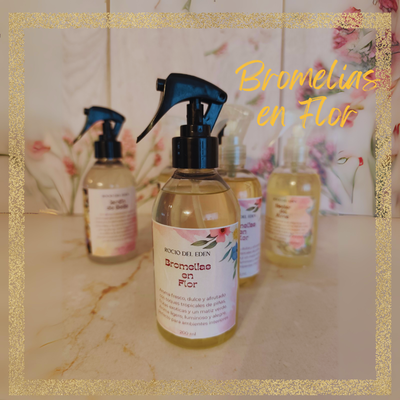 Bromelias en Flor 200ml