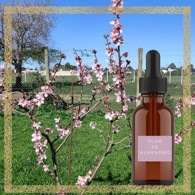 Esencia Floral de Almendro  15 ml
