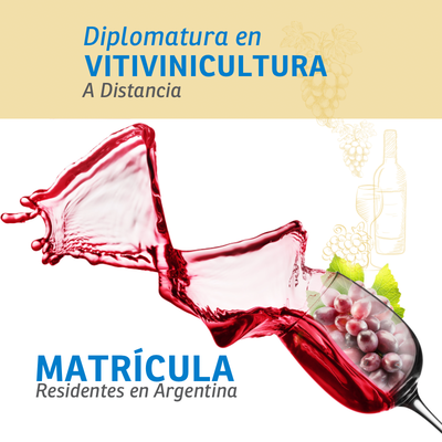 Diplomatura en Vitivinicultura Matrícula 2026 