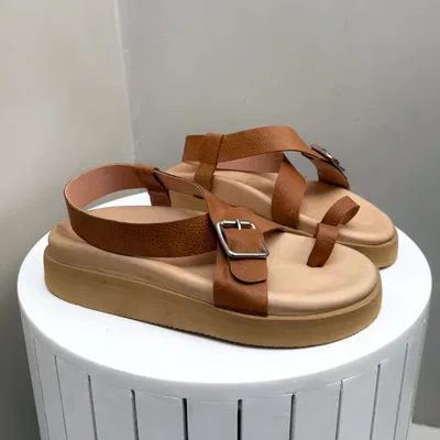 AGATA Camel