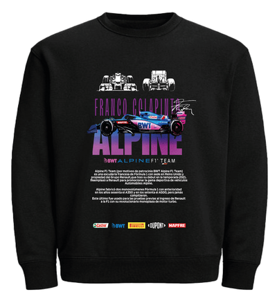 Buzo Cuello Redondo Colapinto Alpine 2025 Dtf