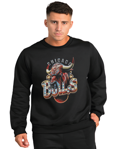 Buzo Cuello Redondo Chicago Bulls