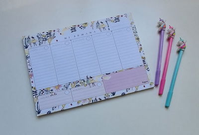 Planner semanal Regina Niña Limon