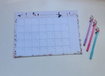 Planner mensual Regina Niña Vuelo