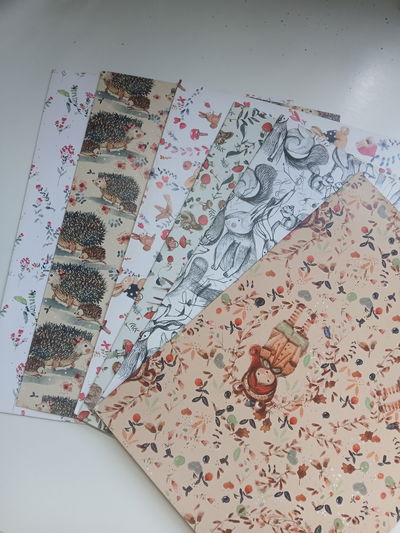 Carpeta A4 Regina con solapa