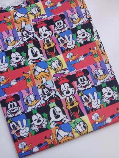 Cartuchera Vertical triple Disney