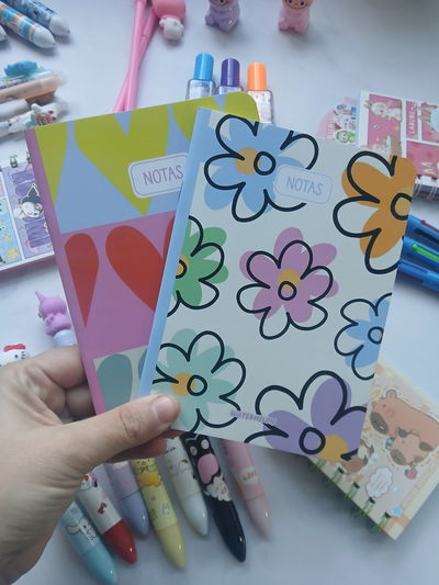 Cuadernos/Libretas