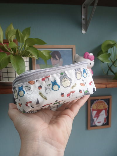 Estuche cubo Totoro