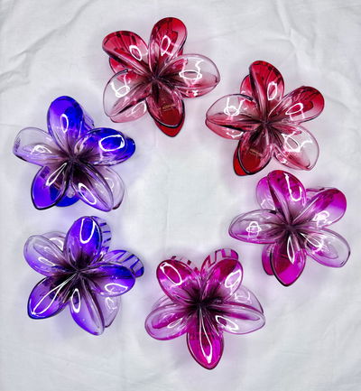 Broche Hawai Trasparente  x6