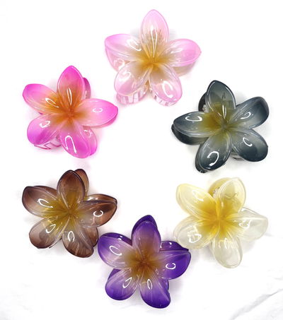 Broche Hawai Isla  x6