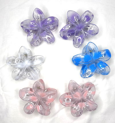 Broche Hawai Transparente x6