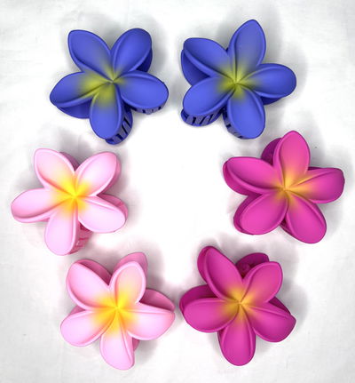Broche Hawai Opaco   x6