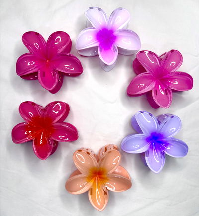 Broche Hawai Clásico   x12