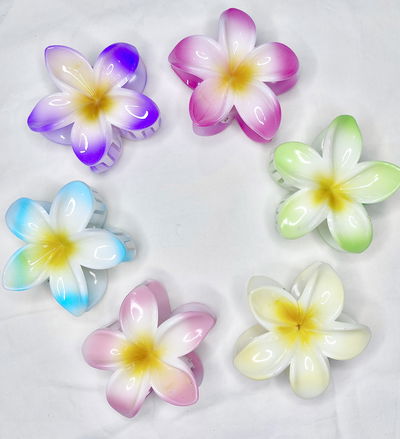 Broche Hawai Pastel x6