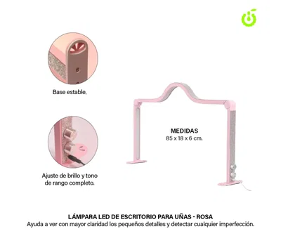 Lampara luz Led Rosa Cherimoya  