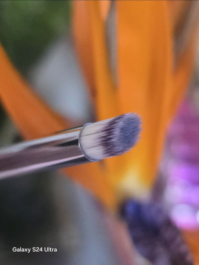 Pincel Pata de Cabra con Strass ombré degradé 