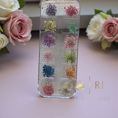 Flores Secas Decoración 