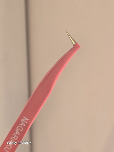 Pinza Nagaraku L