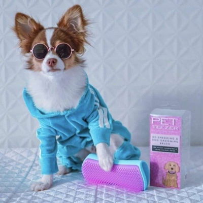 TANGLETEEZER Pet Mascotas Perros Lilac Yell