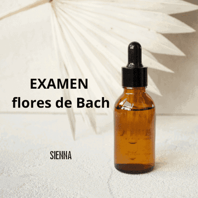 Flores de Bach-Examen 