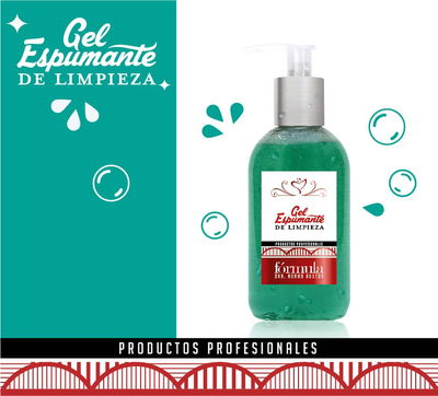 Gel Espumante de Limpieza 250cc-Norma Bustos