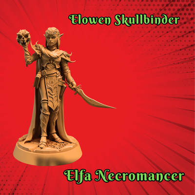 Elfa Necromancer "Elowen Skullbinder"