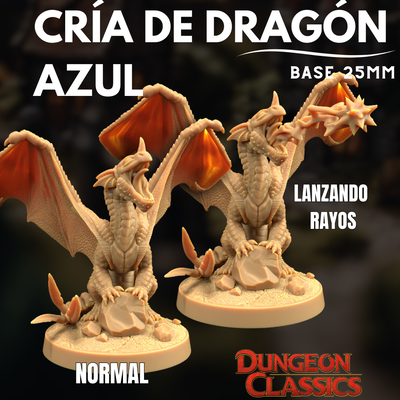 Cría de Dragón Azul - Dungeons & Dragons