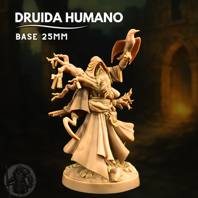 Druida Humano - Dungeons & Dragons