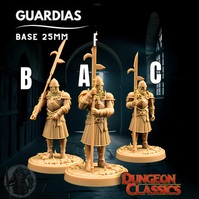 Guardias (NPC) - Dungeons & Dragons