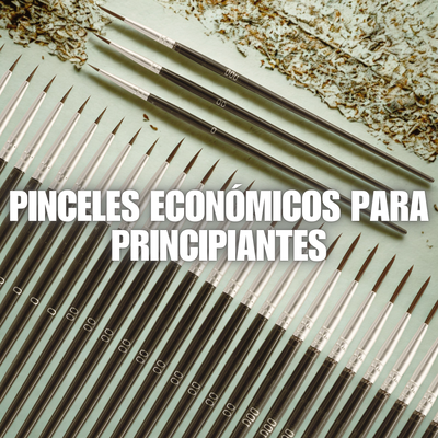 Pinceles Económicos para Principiantes