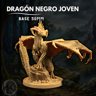 Dragón Negro Joven - Dungeons & Dragons