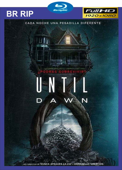 Until Down - Digital