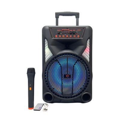 Parlante Bluetooth 12 Pulgadas Xaea mod 003