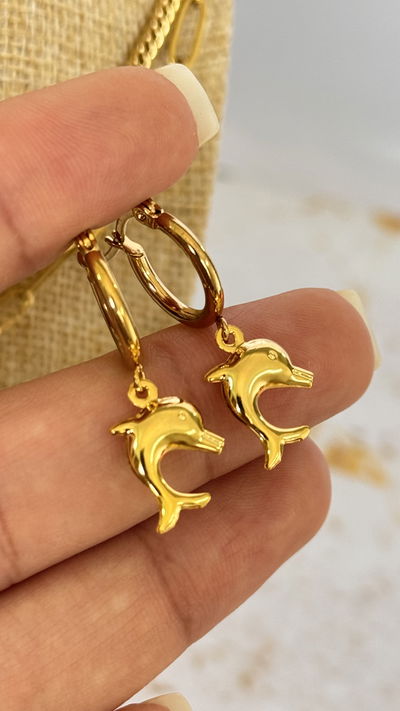 Argollas Delfin Inflado AD