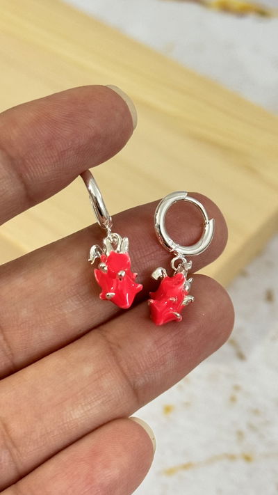 Argollas Pitahaya AB