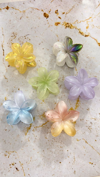 Broche Flor Hawaiana x6u Surtidas 