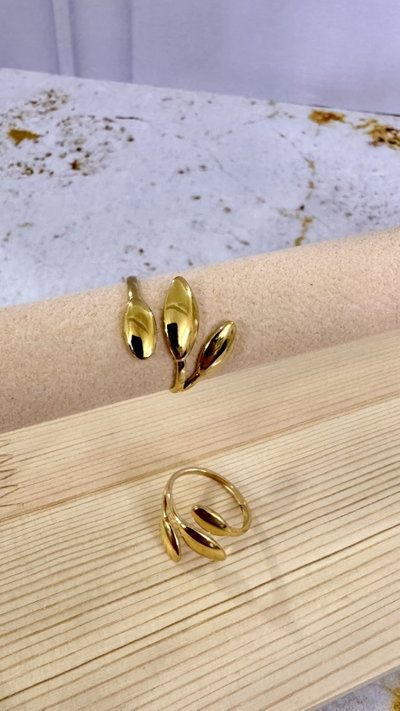 Anillo Rumi AD t.18