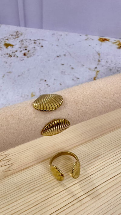 Anillo Ostras AD t.18