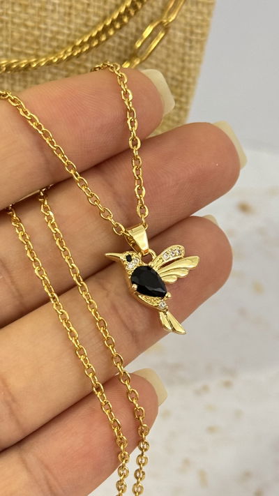 Conjunto Colibrí Negro AD