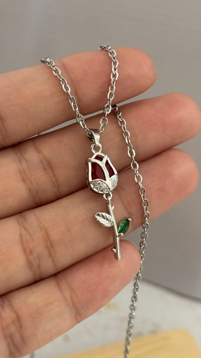 Conjunto Tulipan Rojo AQ