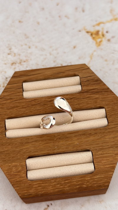 Anillo Amisa AB