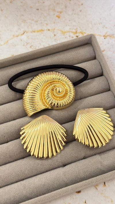 Set Colero y hebillas
