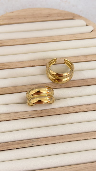 Anillo Doble AD
