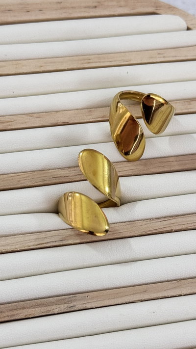 Anillo Pau AD