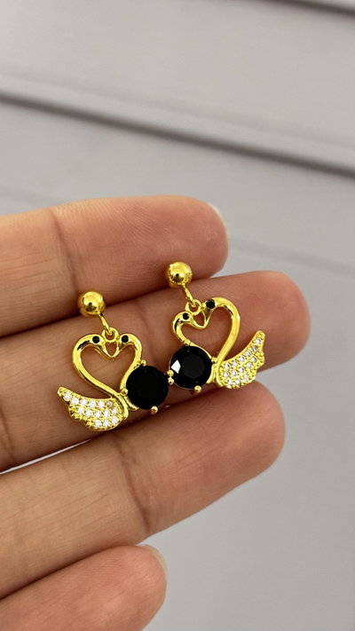 Aros Pasante Cisnes Negro AD