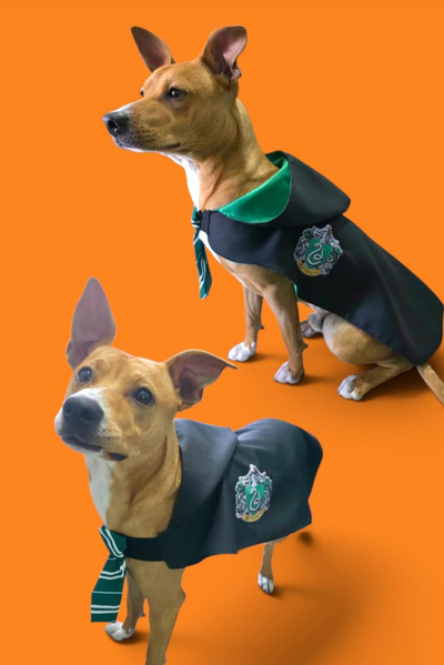 UNIFORME HARRY POTTER 