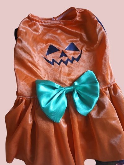CALABAZA VESTIDO
