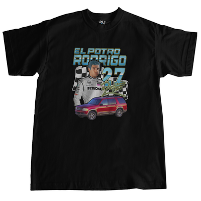 El Potro Rodrigo F1