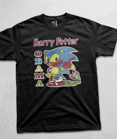 Harry Potter OBAMA Sonic 10